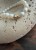 IMG_8982.jpeg