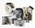 Untitled design (1).png