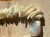 IMG_0214.jpeg