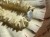 IMG_0194.jpeg