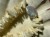 IMG_0193.jpeg