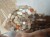 IMG_2115.jpeg