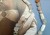 IMG_2135.jpeg