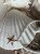 IMG_1866.jpeg