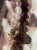 IMG_0514.jpeg