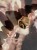 IMG_0513.jpeg