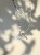 IMG_3196.jpeg