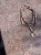 IMG_6667.jpeg