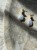 IMG_7825.jpeg