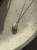 IMG_8168.jpeg